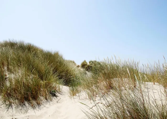 Cinta, Des En Bord D'ocean *